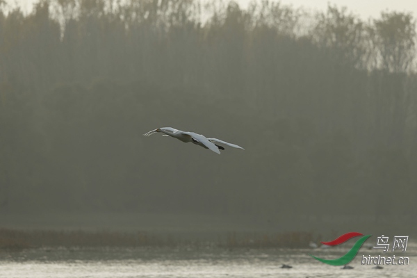 _E8J2233.jpg