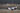 _I7W2422.jpg