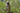 _J4A2616.jpg