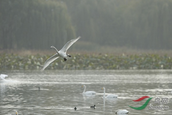 _E8J2070.jpg
