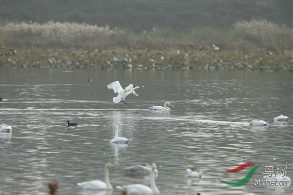 _E8J1973.jpg