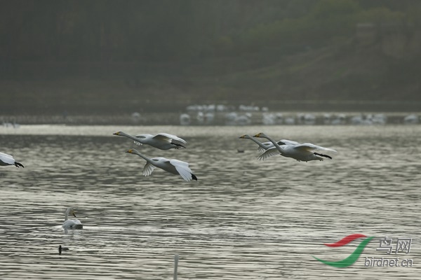 _E8J1898.jpg