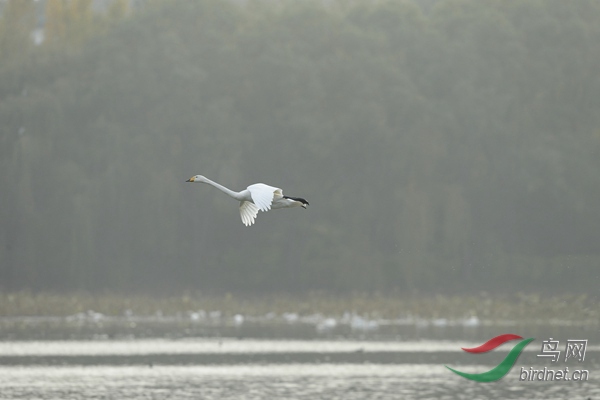 _E8J1945.jpg