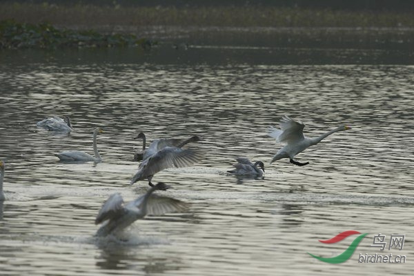 _E8J1825.jpg