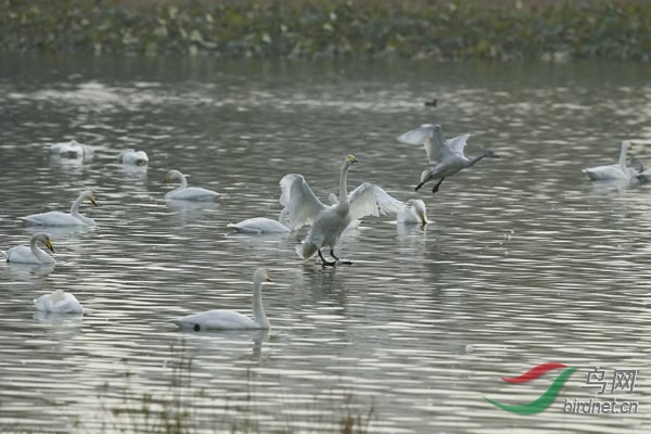 _E8J1810.jpg