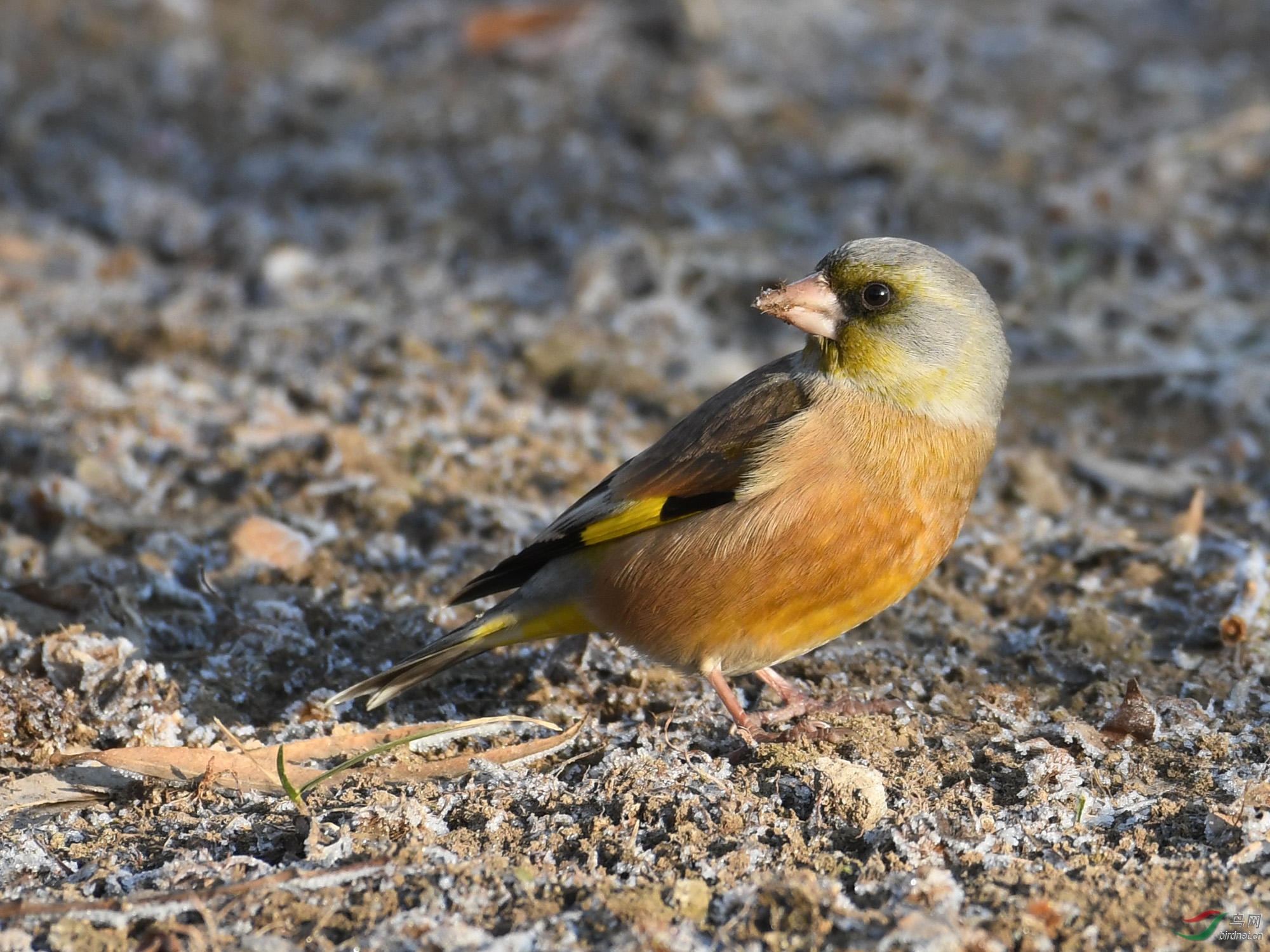 ������Ӱ 1012����.jpg