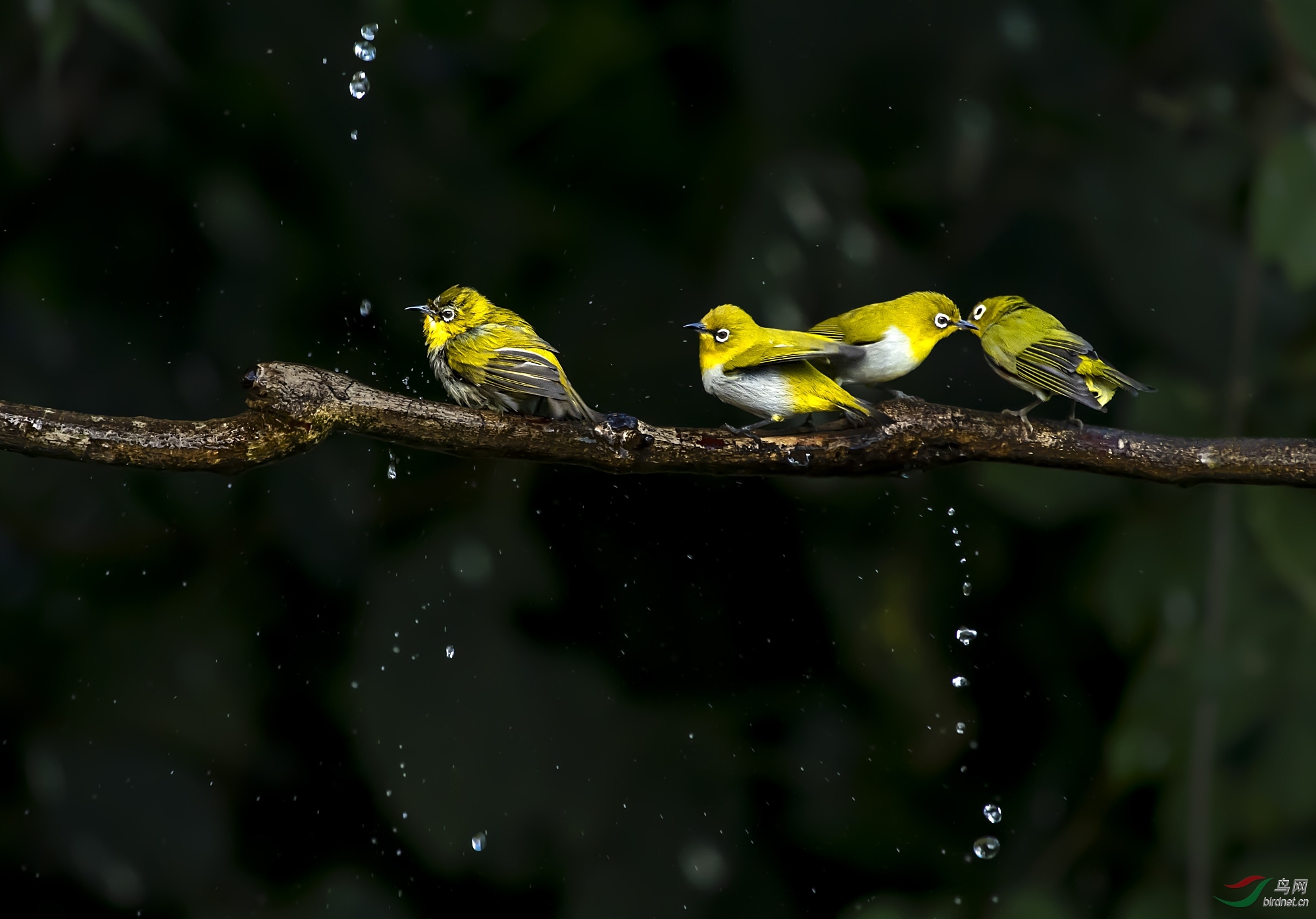 DSC_5514_����.jpg