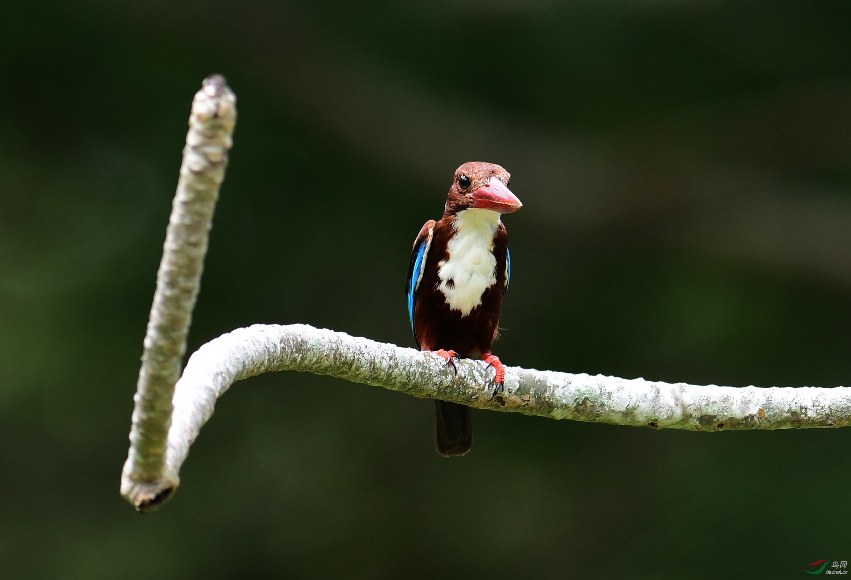 DSC_3180.JPG