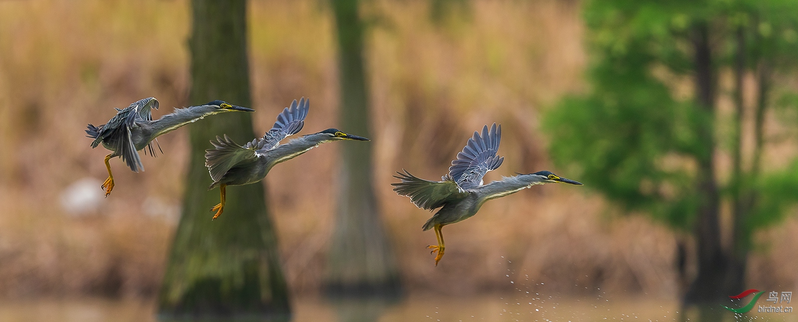1DX_8151-Pano-1.jpg
