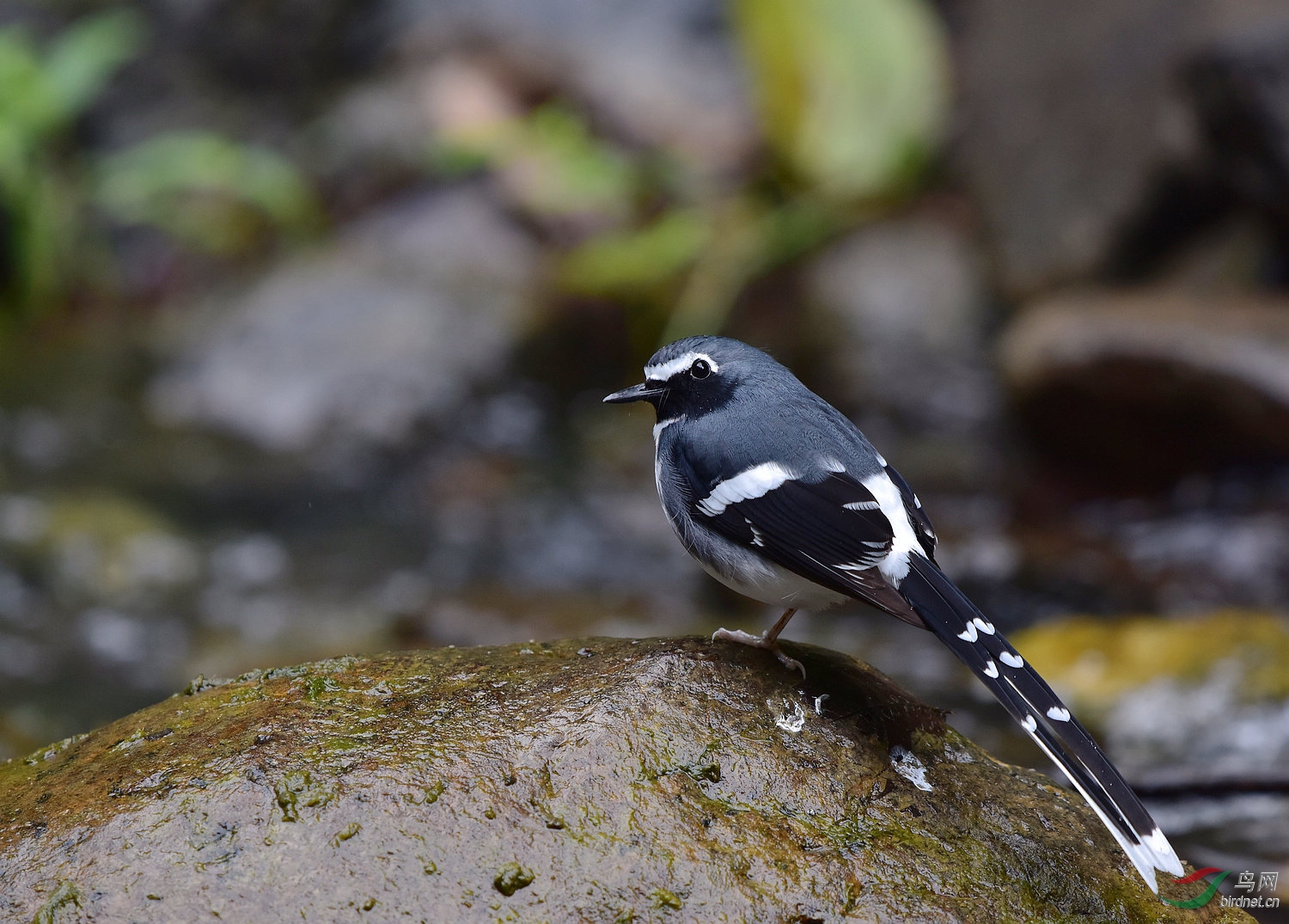 D8I_0340.jpg