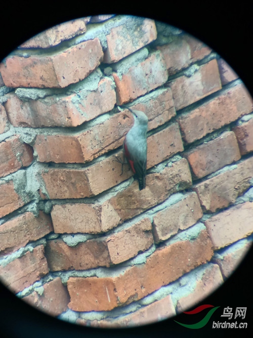 QQphoto (1)_����.jpg