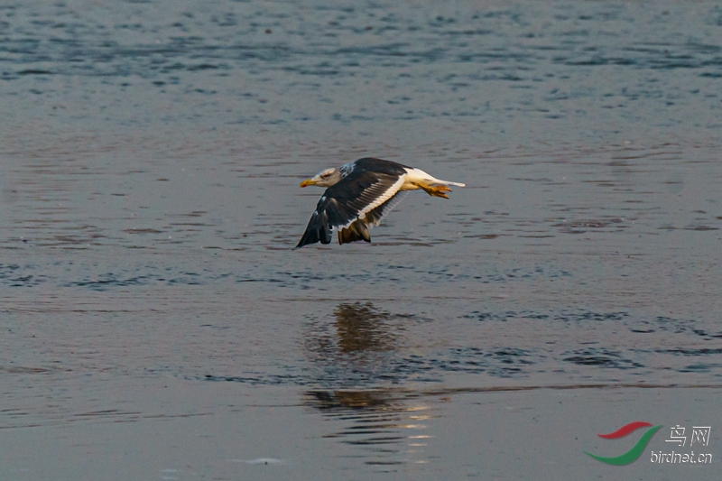 С�ڱ���Ÿ20181124��� (3)_����.jpg