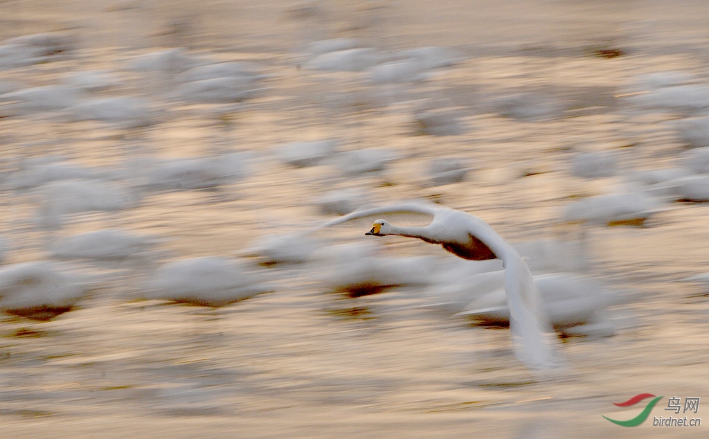 DSC_0226.jpg