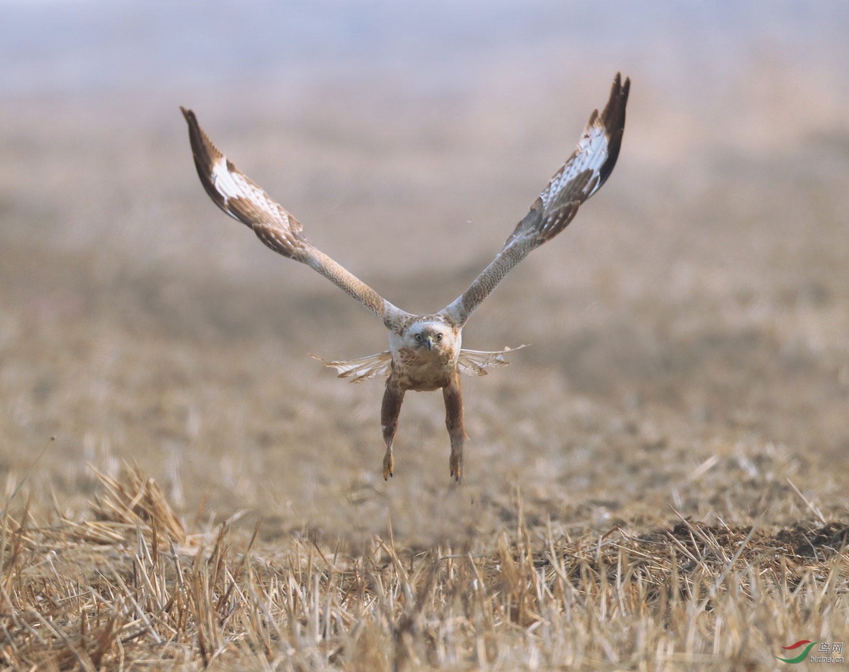 4 - ����.JPG