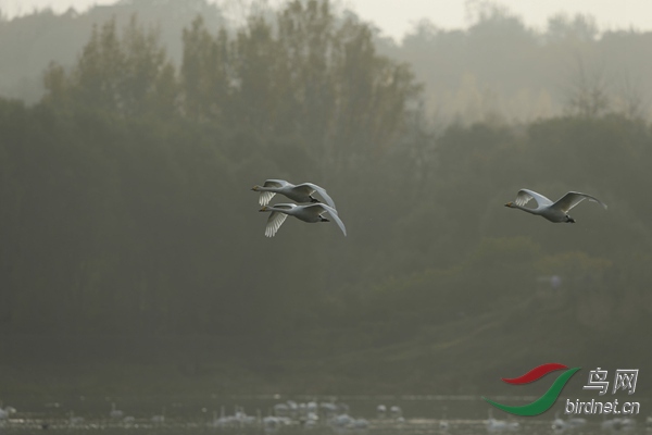 _E8J2141.jpg