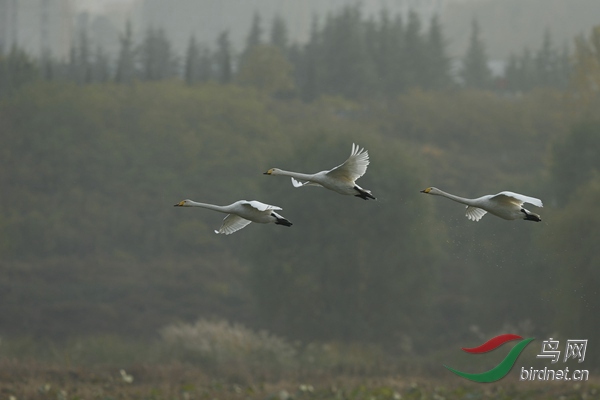 _E8J2165.jpg