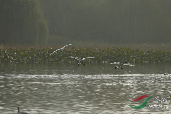 _E8J2312.jpg