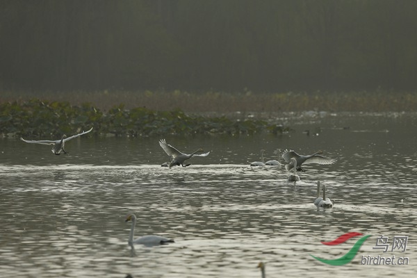 _E8J2322.jpg