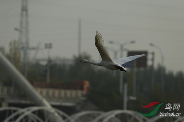 _E8J2356.jpg