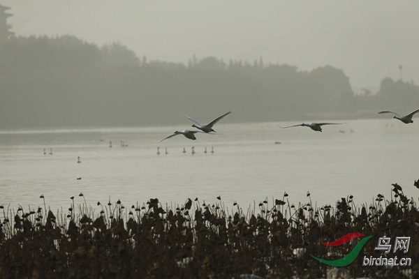 _E8J2522.jpg