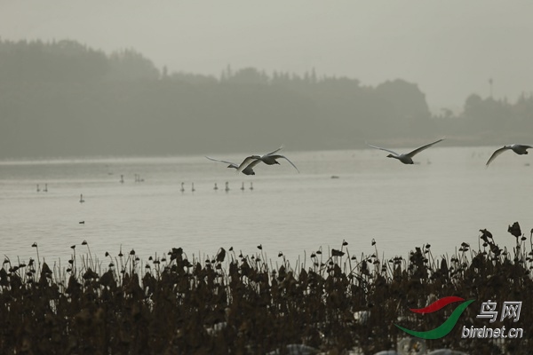 _E8J2521.jpg