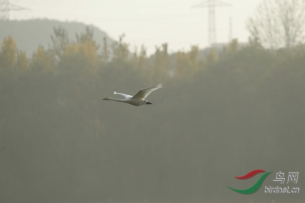 _E8J2506.jpg