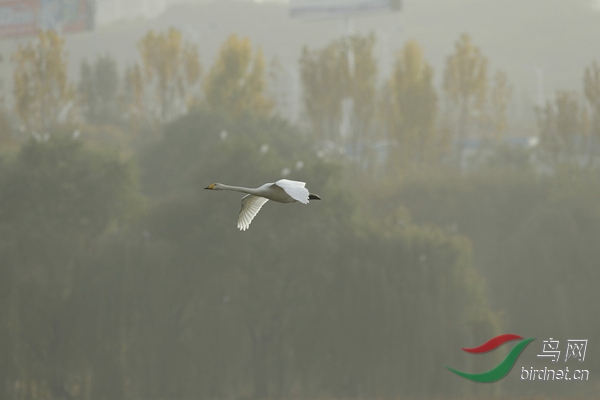 _E8J2508.jpg