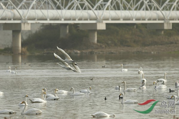 _E8J2651.jpg