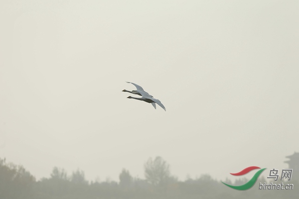 _E8J2222.jpg