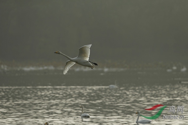 _E8J2282.jpg
