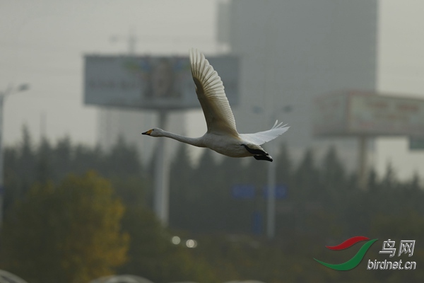 _E8J2353.jpg