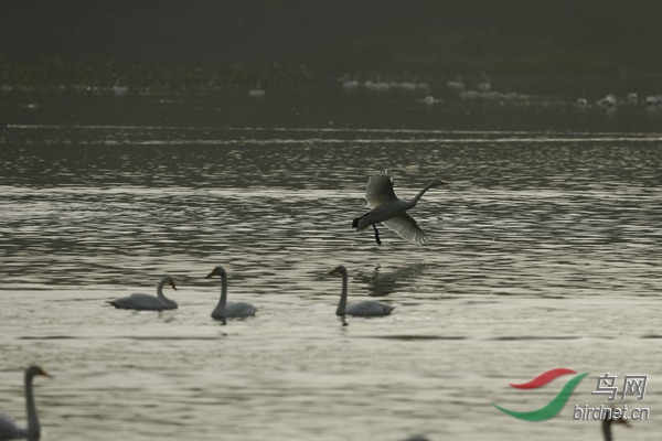_E8J2381.jpg