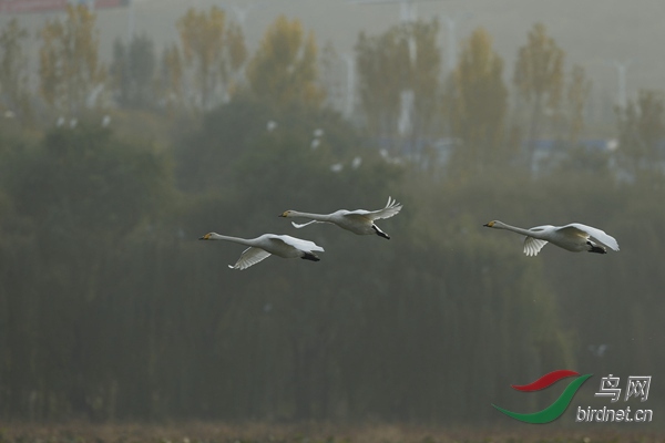 _E8J2160.jpg