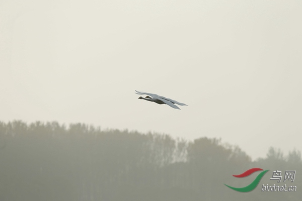 _E8J2224.jpg