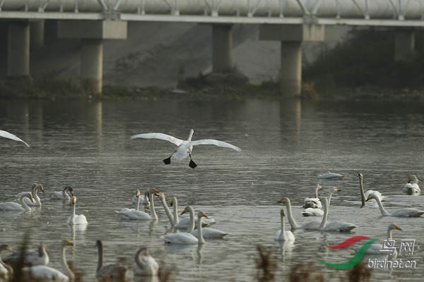 _E8J2292.jpg