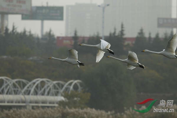 _E8J2172.jpg