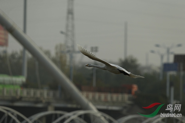 _E8J2357.jpg