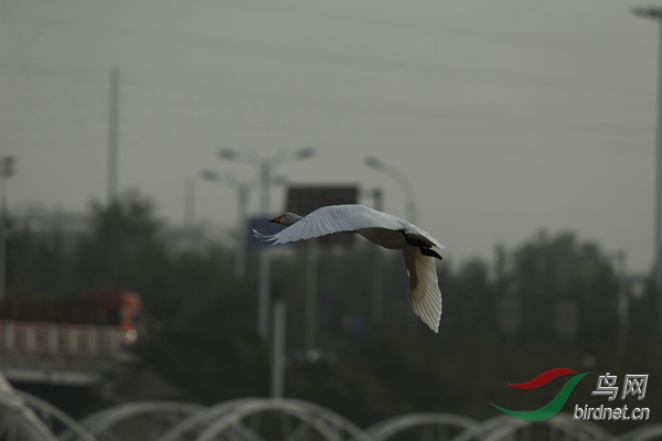 _E8J2355.jpg