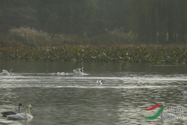 _E8J2370.jpg