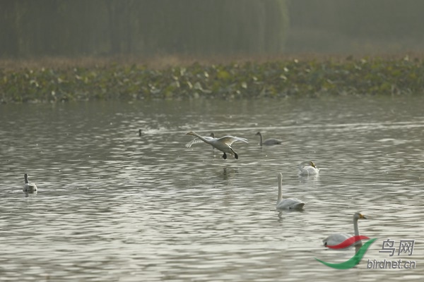 _E8J2435.jpg