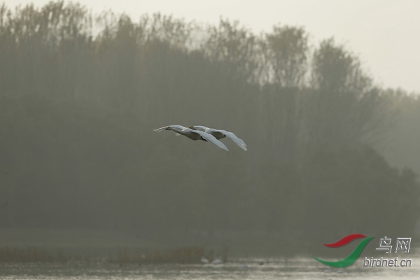 _E8J2230.jpg