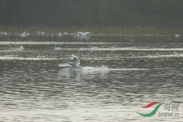 _E8J2054.jpg