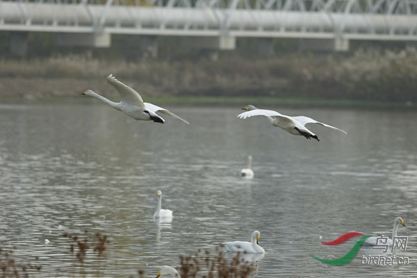 _E8J2009.jpg
