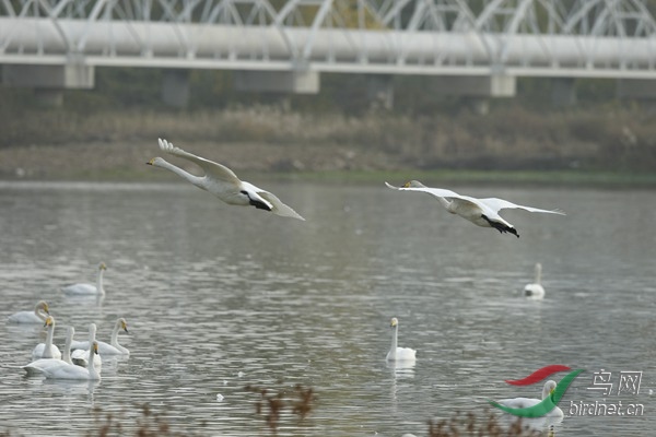 _E8J2010.jpg