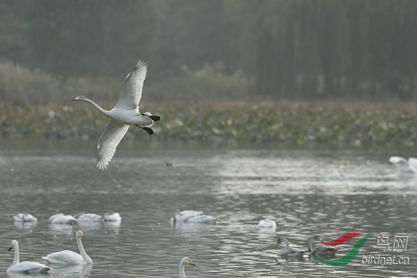 _E8J2079.jpg