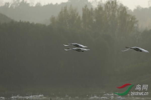 _E8J2143.jpg