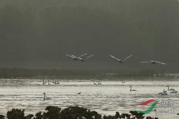 _E8J2117.jpg