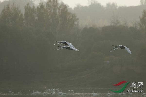 _E8J2140.jpg