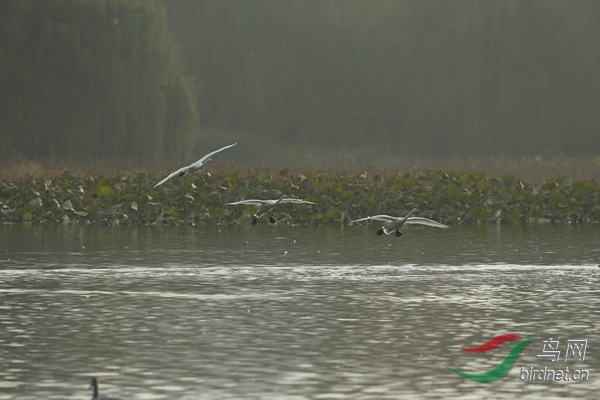 _E8J2310.jpg