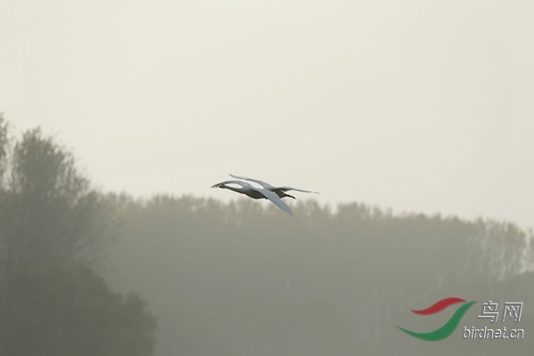 _E8J2226.jpg